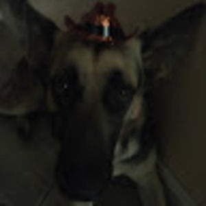 Meet your Posher, Darius